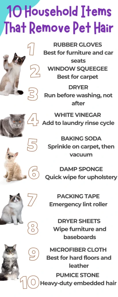 Infographic showing 10 household items that remove pet hair from every surface