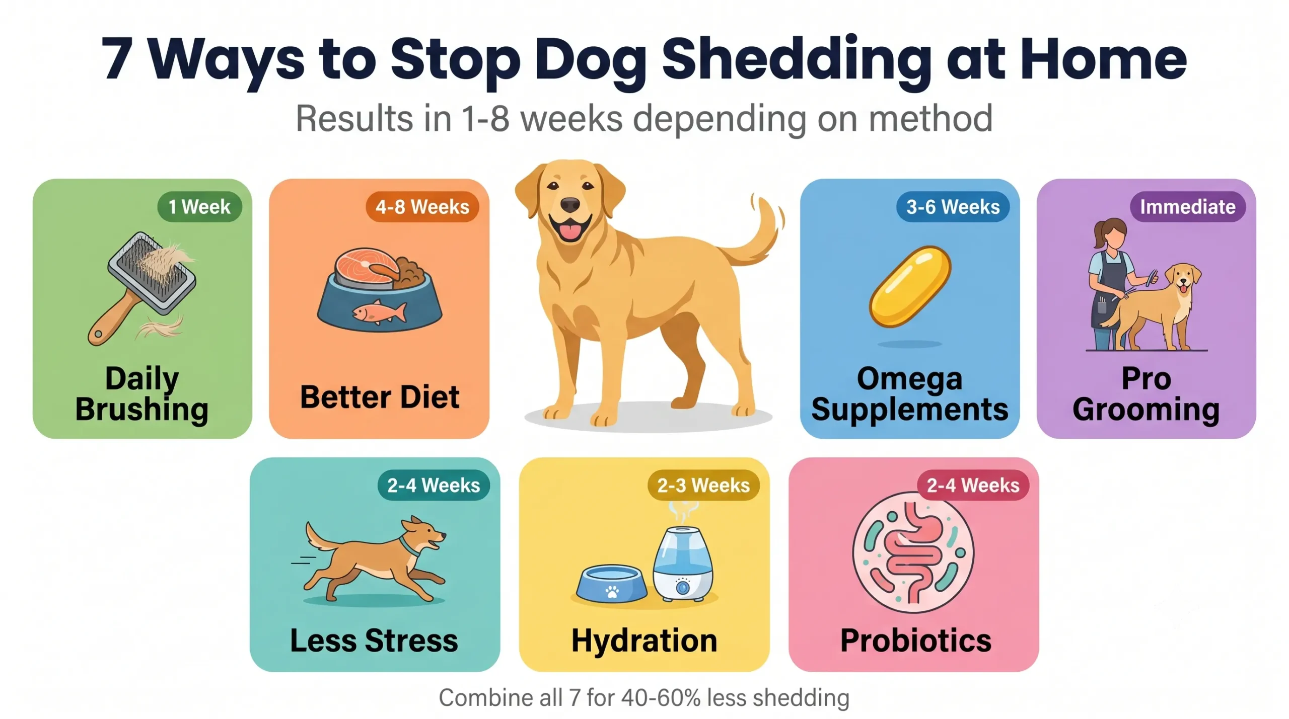 7 ways to stop dog shedding at home — illustrated remedy guide