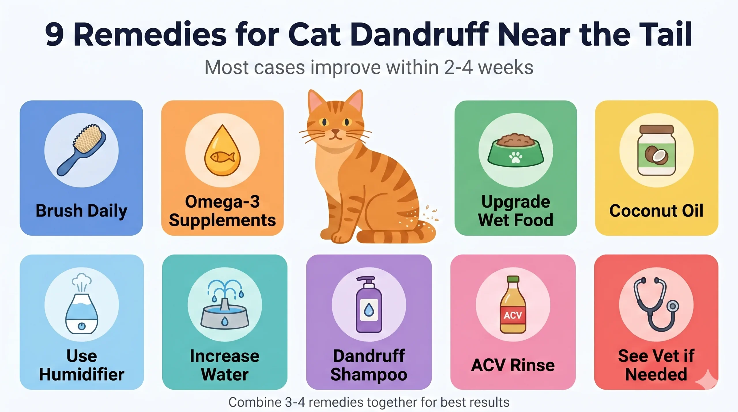 9 remedies for cat dandruff near the tail — illustrated guide