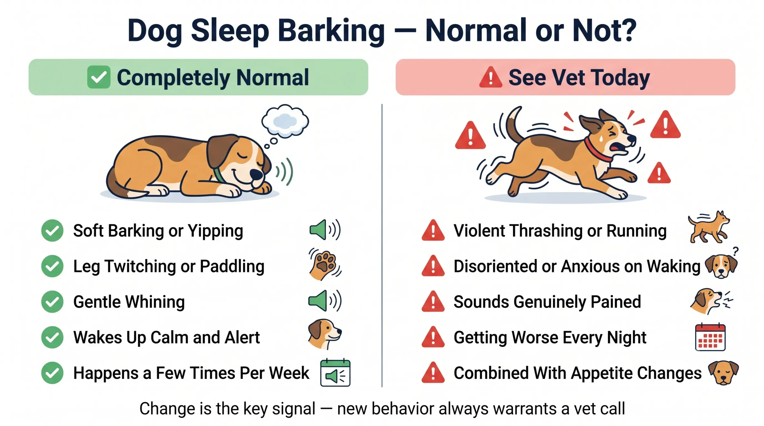 Dog sleep barking — normal or not infographic guide