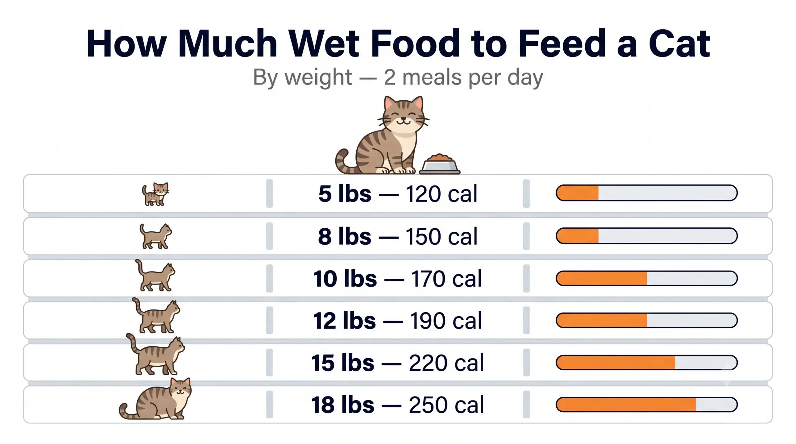 How much wet food to feed a cat — illustrated calorie formula guide