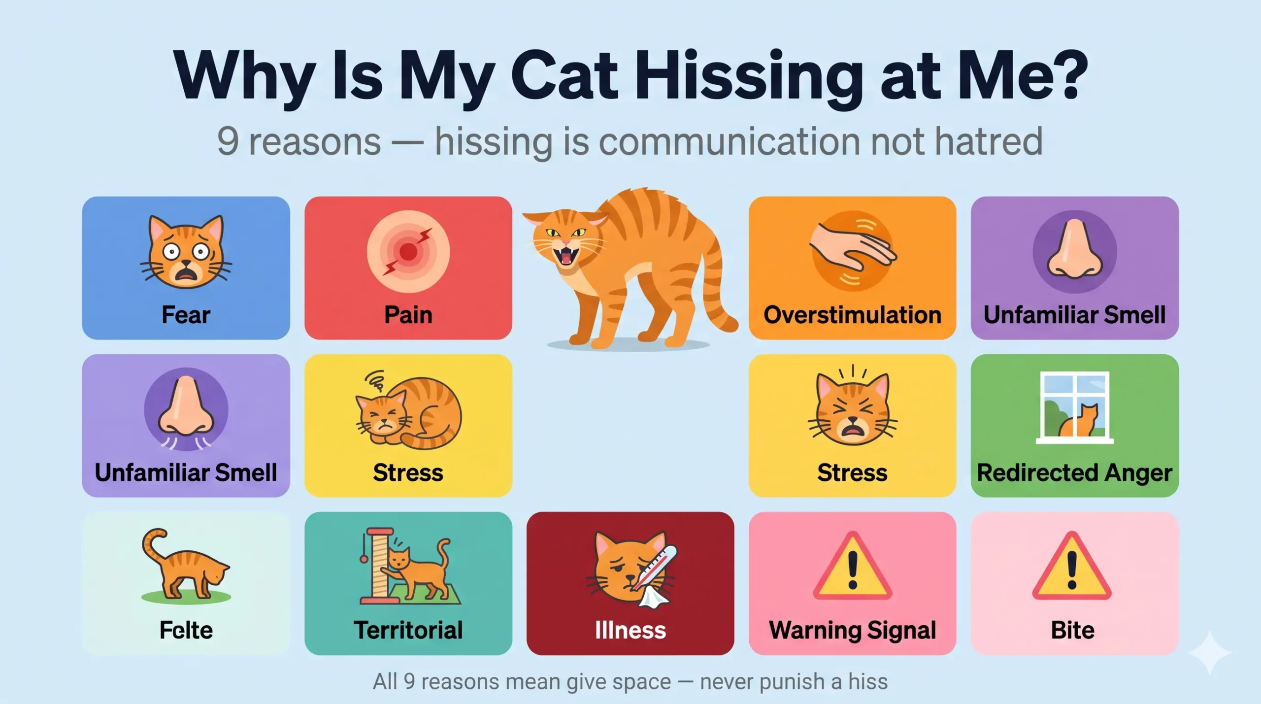 Why is my cat hissing at me — 9 reasons infographic
