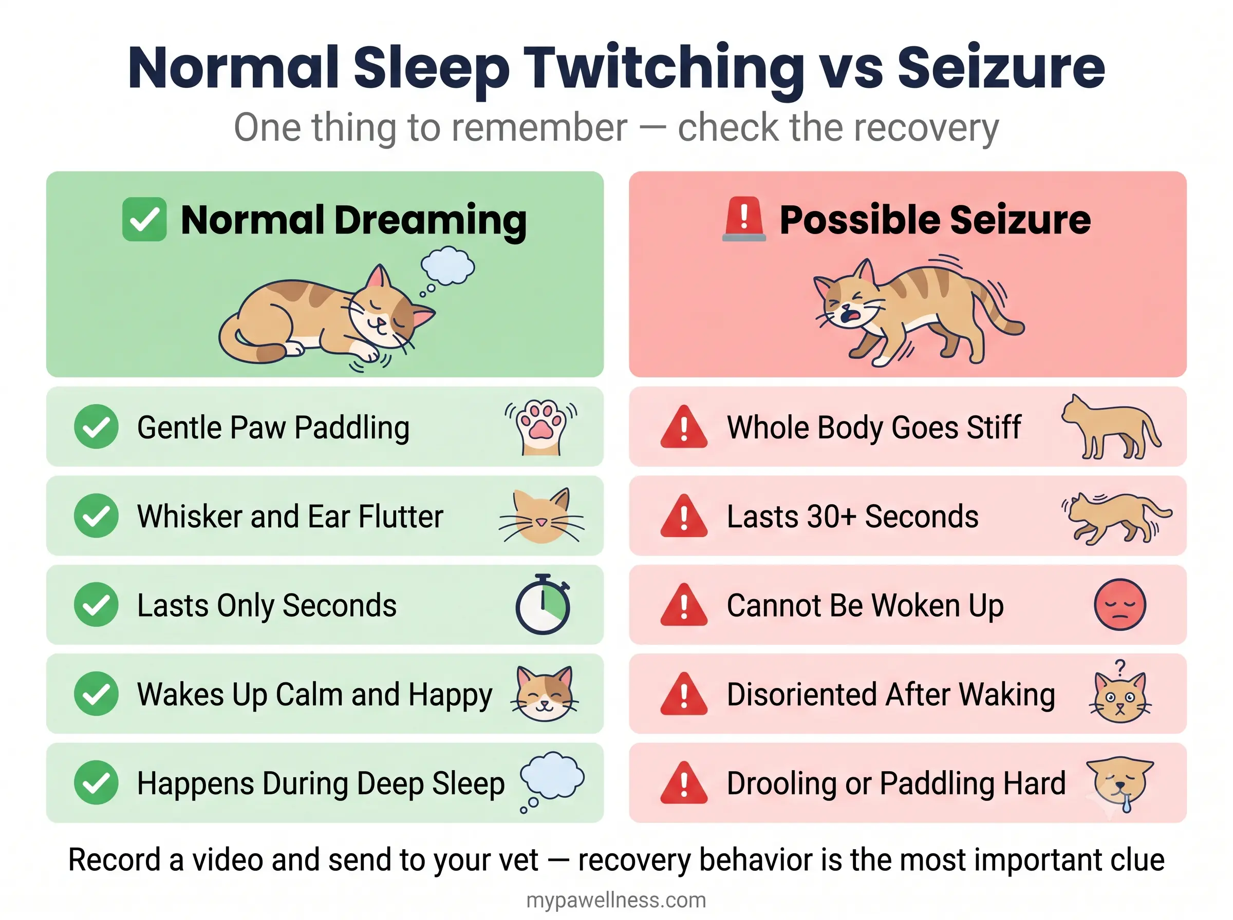 Normal sleep twitching vs seizure — comparison infographic for cat owners