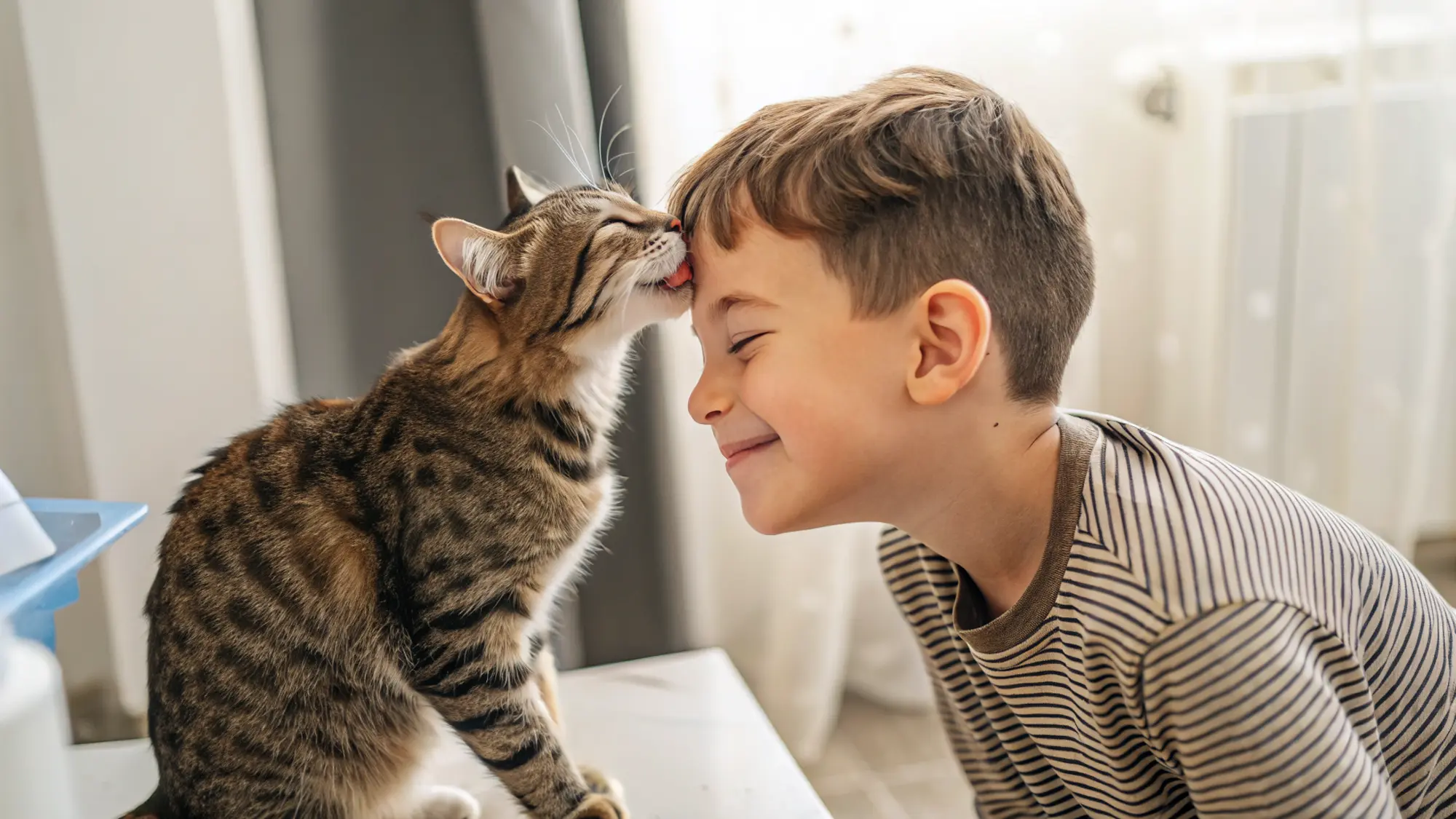 Why Does My Cat Lick Me in my forhead