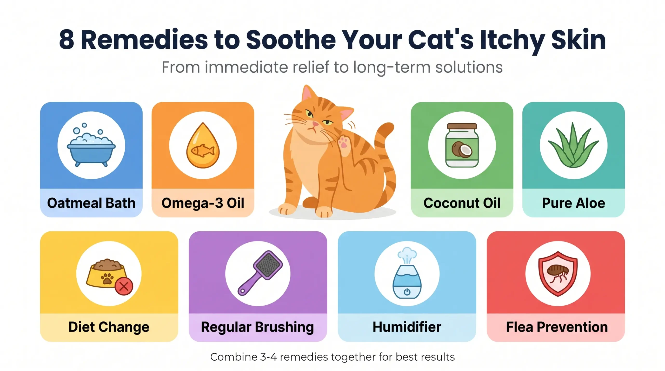8 remedies to soothe your cat's itchy skin โ illustrated guide infographic