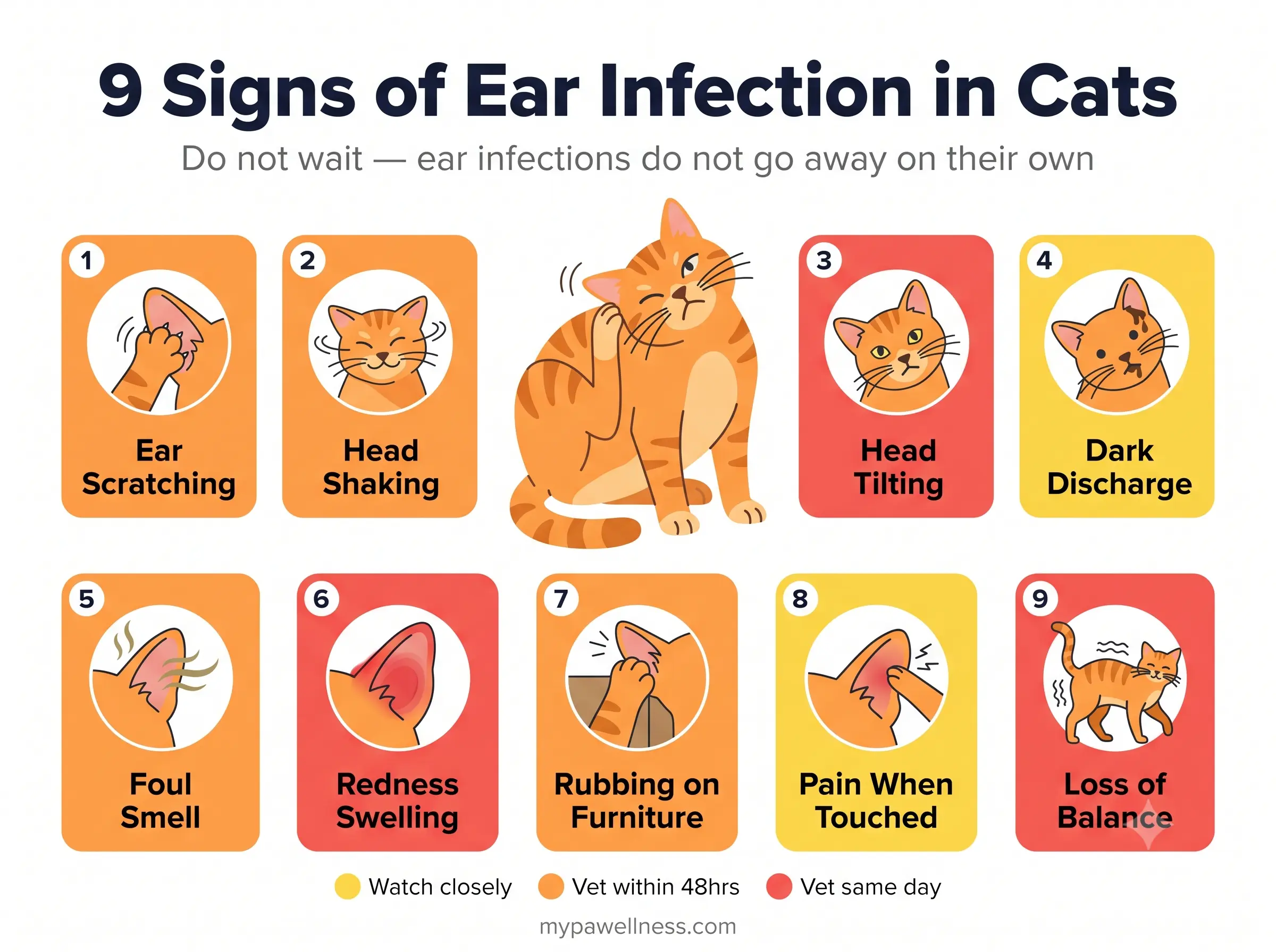 9 signs of ear infection in cats — warning signs infographic