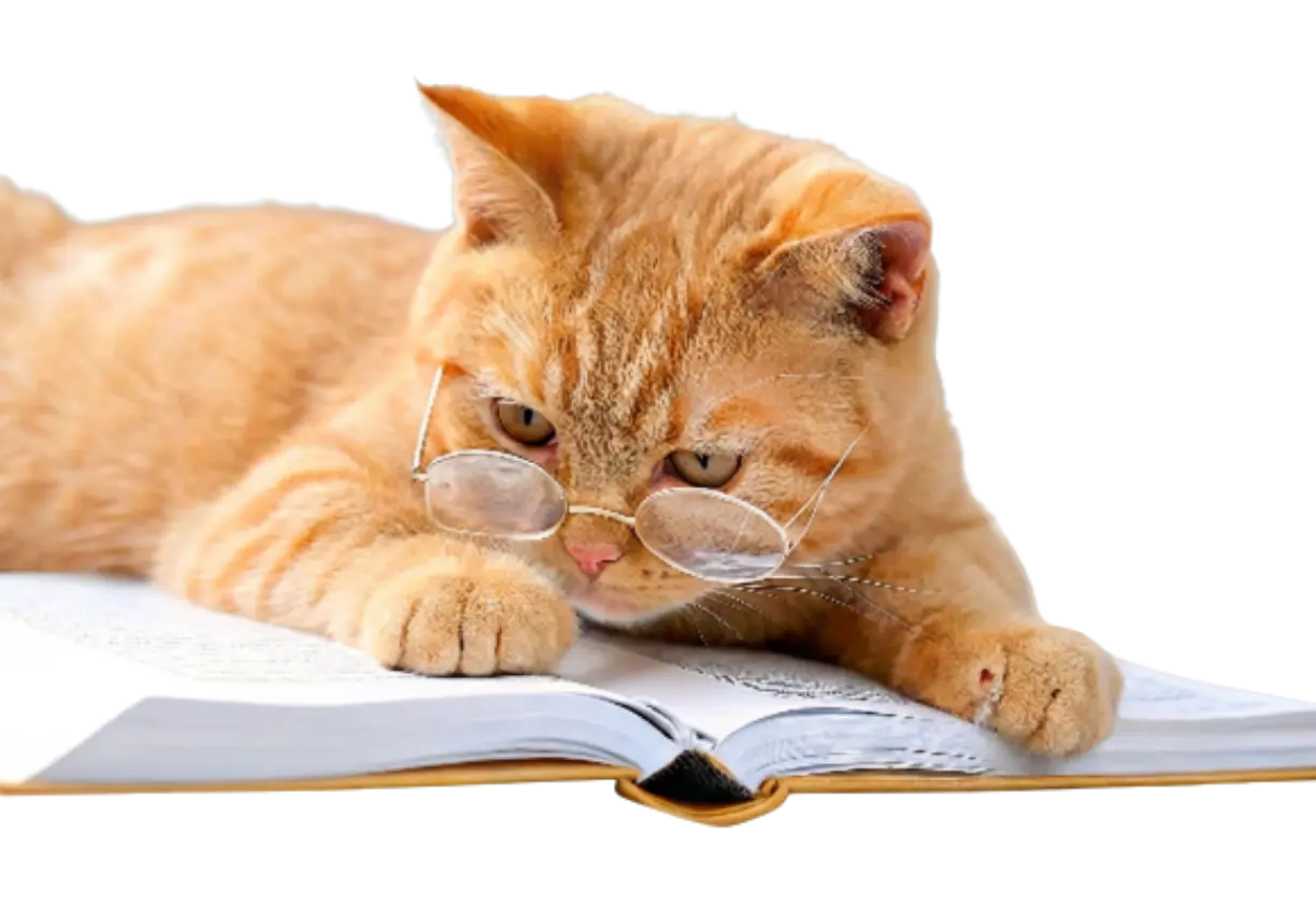 Cat reading a free cat care checklist