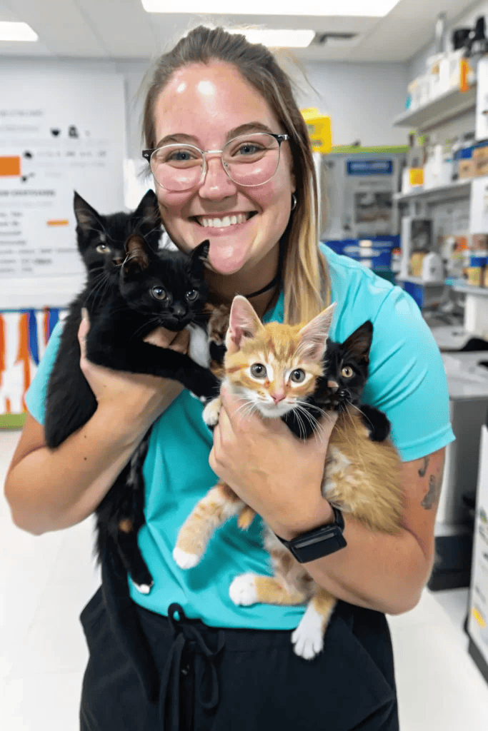 Luna, cat wellness writer, holding 4 cats at the vet clinic